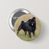 Badge Rond 5 Cm Carlin noir collant Tounge (Devant & derrière)