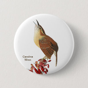 Badge Rond 5 Cm Carolina Wren, Audubon, Jardin Birdwatcher Bird