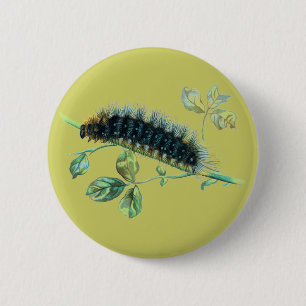 Badge Rond 5 Cm Caterpillar Arctia caja