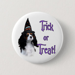 Badge Rond 5 Cm Cavalier King Charles Spaniel Trick