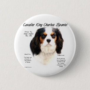 Badge Rond 5 Cm Cavalier King Charles Spaniel (tricolore) Histoire