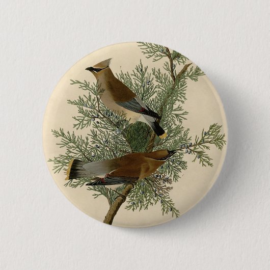 Badge Rond 5 Cm Cèdre Audubon (Devant)