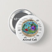 Badge Rond 5 Cm Cellule animale (Devant & derrière)