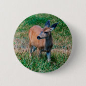 Badge Rond 5 Cm Cerf - (Devant)