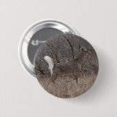 Badge Rond 5 Cm Cerf à queue blanche D1 (Devant & derrière)