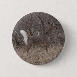 Badge Rond 5 Cm Cerf à queue blanche D1