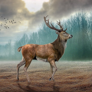 Badge Rond 5 Cm Cerf Lone Dans La Forêt Misty