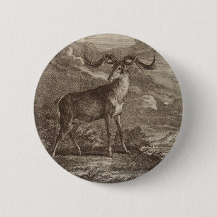 Badge Rond 5 Cm Cerf rouge mâle et jeune