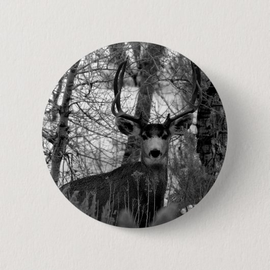 Badge Rond 5 Cm cerfs communs de mule 5x5 (Devant)