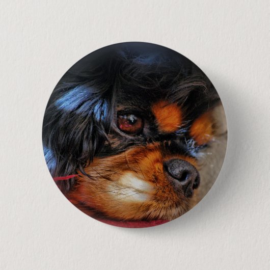 Badge Rond 5 Cm C'est UNE VIE DURE ....... (Devant)