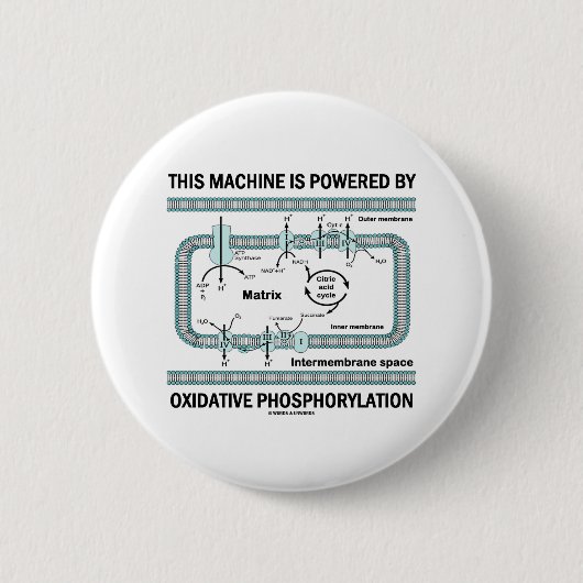 Badge Rond 5 Cm Cette Machine Alimentée Par La Phosphylation Oxida (Devant)