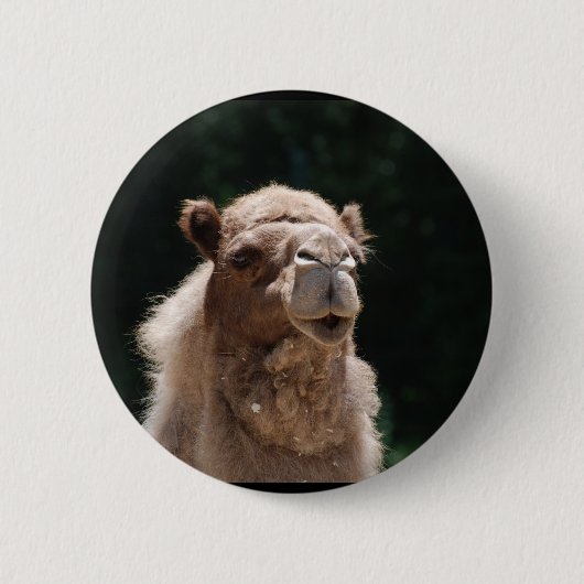 Badge Rond 5 Cm Chameau mignon (Devant)