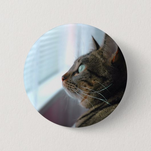 Badge Rond 5 Cm Chaque Kitty contemple dehors (Devant)