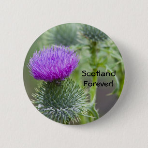 Badge Rond 5 Cm Chardon