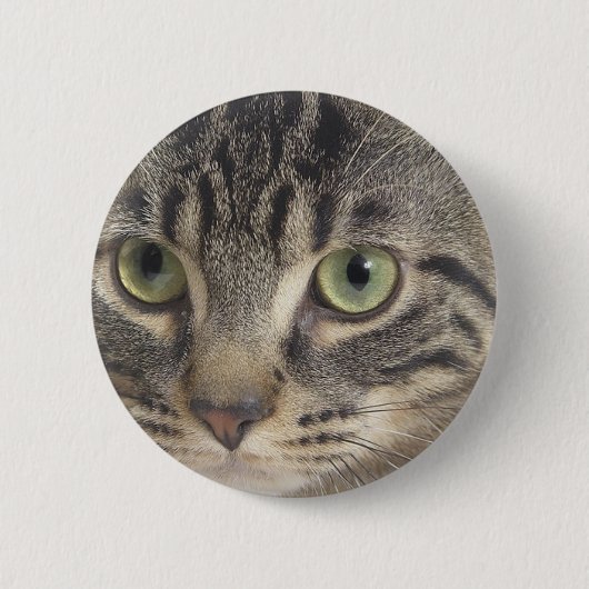 Badge Rond 5 Cm Chat à oeil vert (Devant)