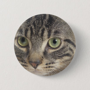 Badge Rond 5 Cm Chat à oeil vert