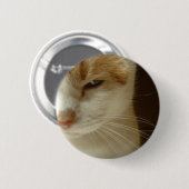 Badge Rond 5 Cm chat agissant (Devant & derrière)
