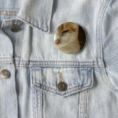 Badge Rond 5 Cm chat agissant (En situation)