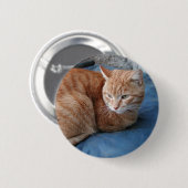 Badge Rond 5 Cm Chat beige (Devant & derrière)