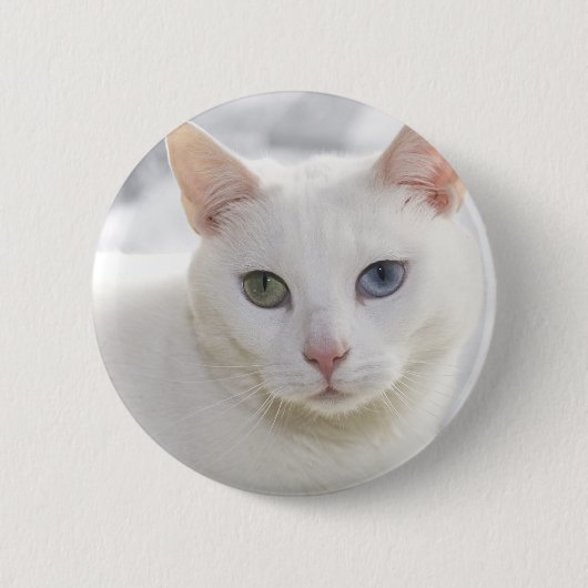 Badge Rond 5 Cm chat blanc aux yeux étranges (Devant)