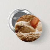 Badge Rond 5 Cm Chat couché (Devant & derrière)