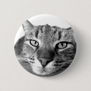 Badge Rond 5 Cm Chat couché