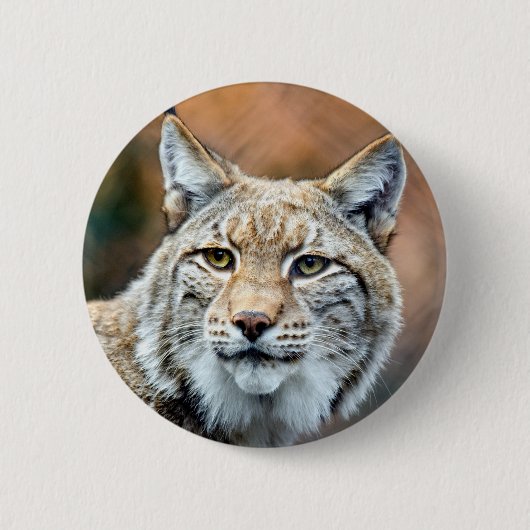 Badge Rond 5 Cm Chat de prédateur de faune de chat sauvage de Lynx (Devant)
