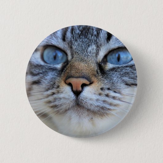 Badge Rond 5 Cm Chat gris (Devant)