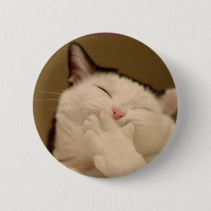 Badge Rond 5 Cm Chat idiot Buton
