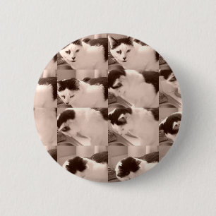 Badge Rond 5 Cm Chat Kitty/Photo noir et blanc