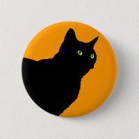 Chat noir de profil sur l'orange