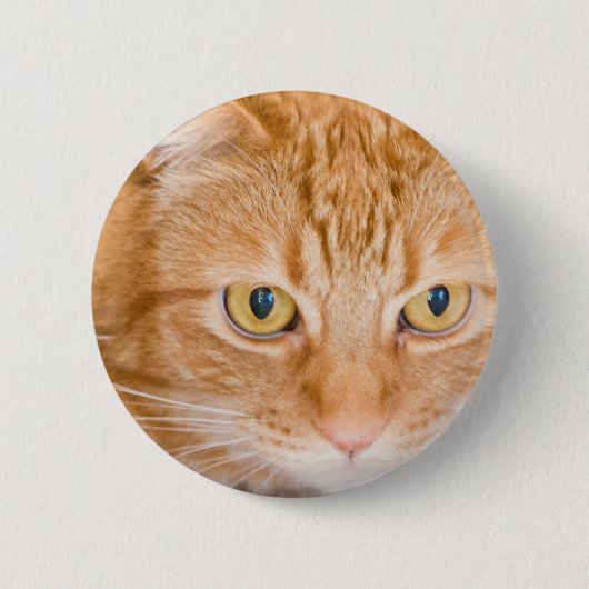 Badge Rond 5 Cm Chat orange (Devant)