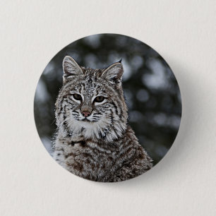 Badge Rond 5 Cm Chat sauvage dans la neige
