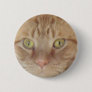 Badge Rond 5 Cm Chat Tigre Orange