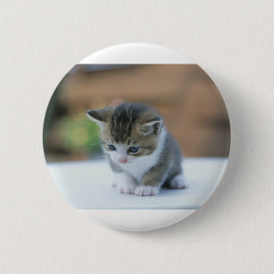 Badge Rond 5 Cm Chaton mignon