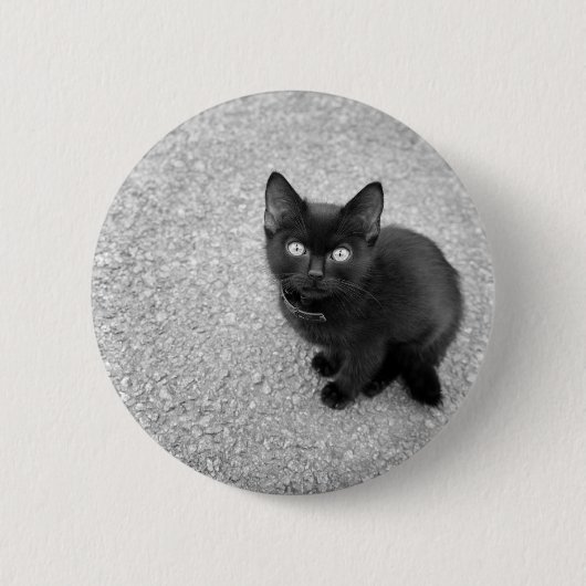 Badge Rond 5 Cm Chaton noir (Devant)