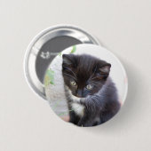 Badge Rond 5 Cm Chaton noir et blanc (Devant & derrière)