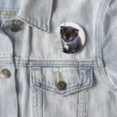 Badge Rond 5 Cm Chaton noir et blanc (En situation)