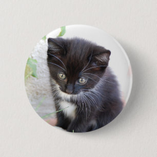 Badge Rond 5 Cm Chaton noir et blanc