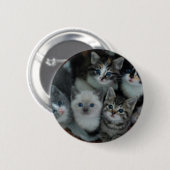 Badge Rond 5 Cm Chatons dans un panier (Devant & derrière)