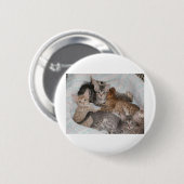 BADGE ROND 5 CM CHATONS MIGNONS DANS UN PANIER (Devant & derrière)