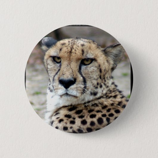 Badge Rond 5 Cm Cheetah-8934e-Bfram (Devant)