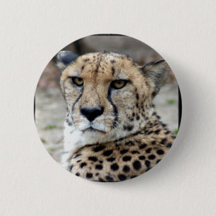Badge Rond 5 Cm Cheetah-8934e-Bfram