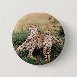 Badge Rond 5 Cm Cheetah Pair