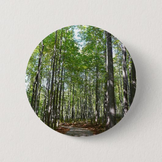 Badge Rond 5 Cm Chemin en bois centenaire II Ellicott City Marylan (Devant)