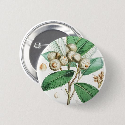 Badge Rond 5 Cm Chêne vert (Devant & derrière)