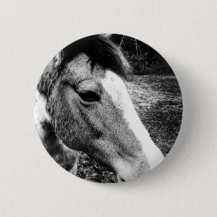 Badge Rond 5 Cm Cheval
