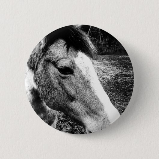 Badge Rond 5 Cm Cheval (Devant)