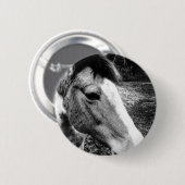 Badge Rond 5 Cm Cheval (Devant & derrière)