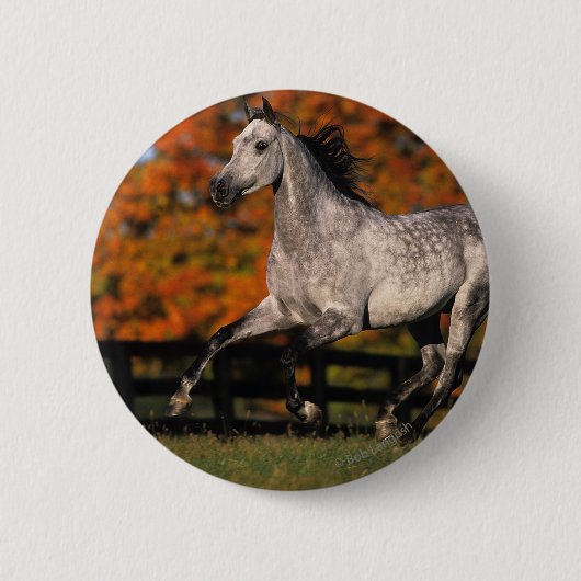 Badge Rond 5 Cm Cheval arabe : Automne 1 (Devant)